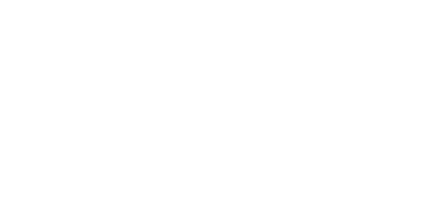 Sónia Ferreira Santos — Wellness Coach
